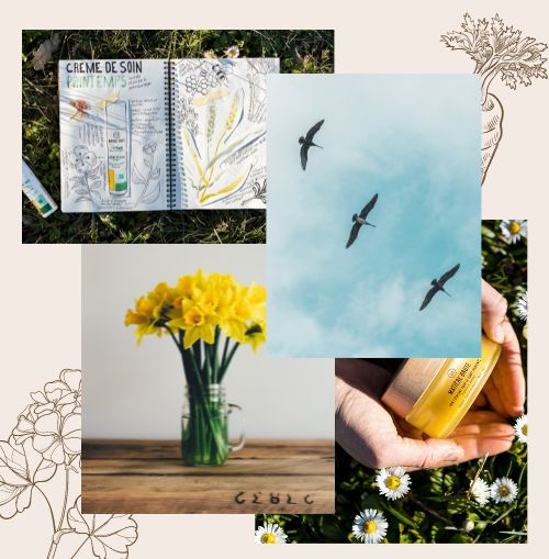 Cosmétique Bio et de saison
